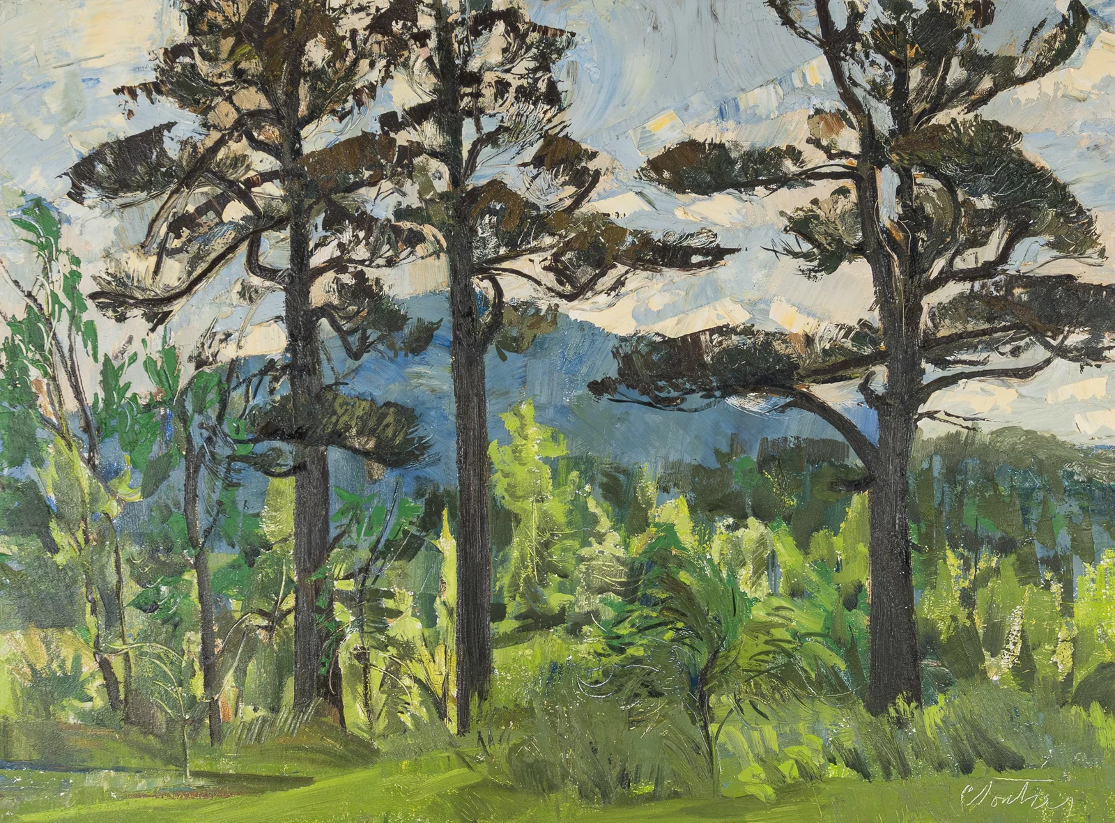 Cloutier, Albert Edward - "The pines at St-Hilaire" - 1962