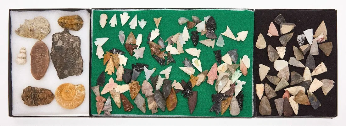 Collection of Arrowheads and Ancient Fossils