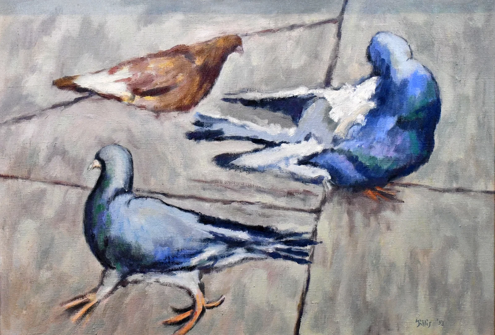 Crawford Gillis. Pigeons.