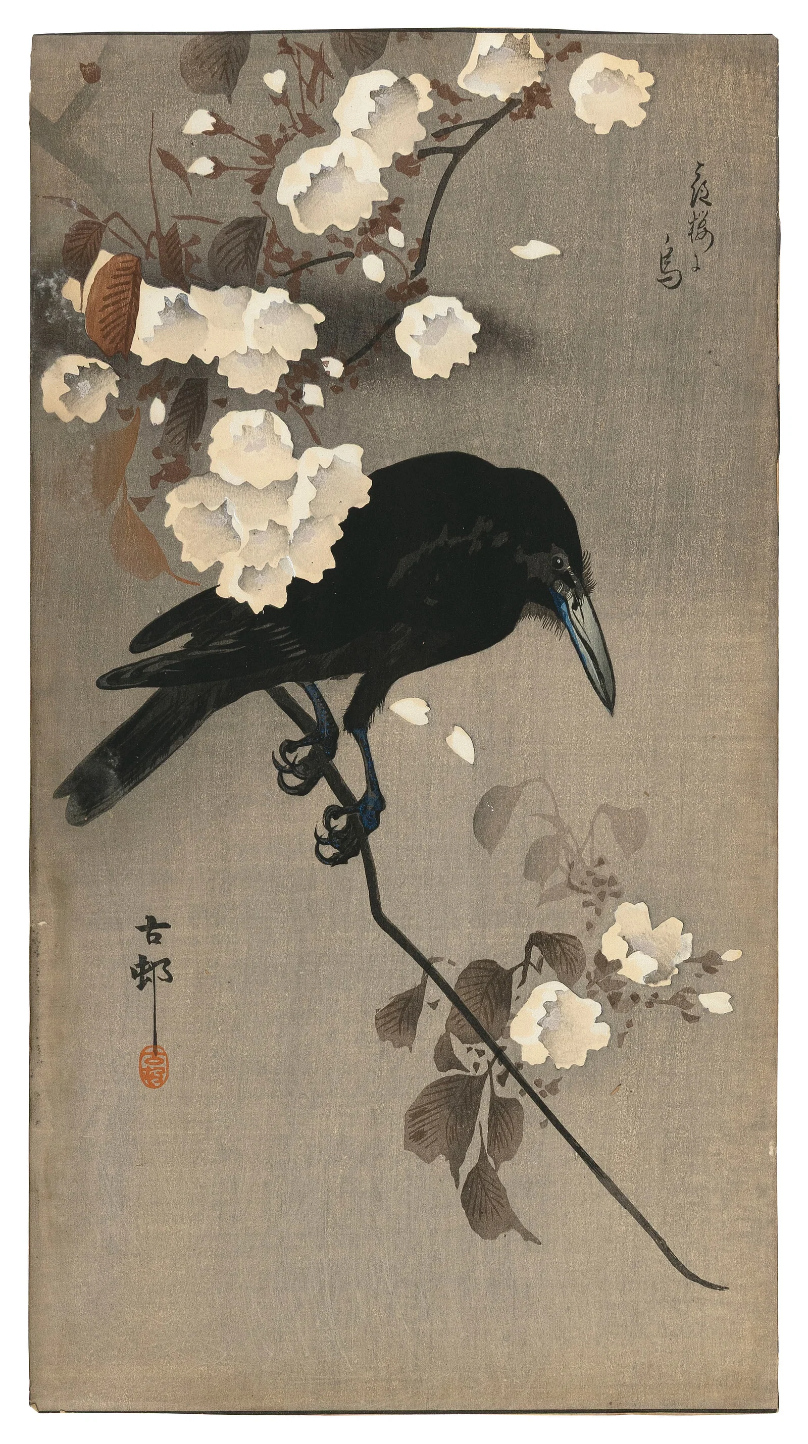Crow.