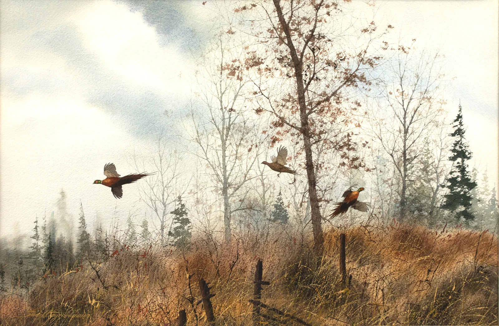 David A. Hagerbaumer (1921-2014), Two Pheasant Works