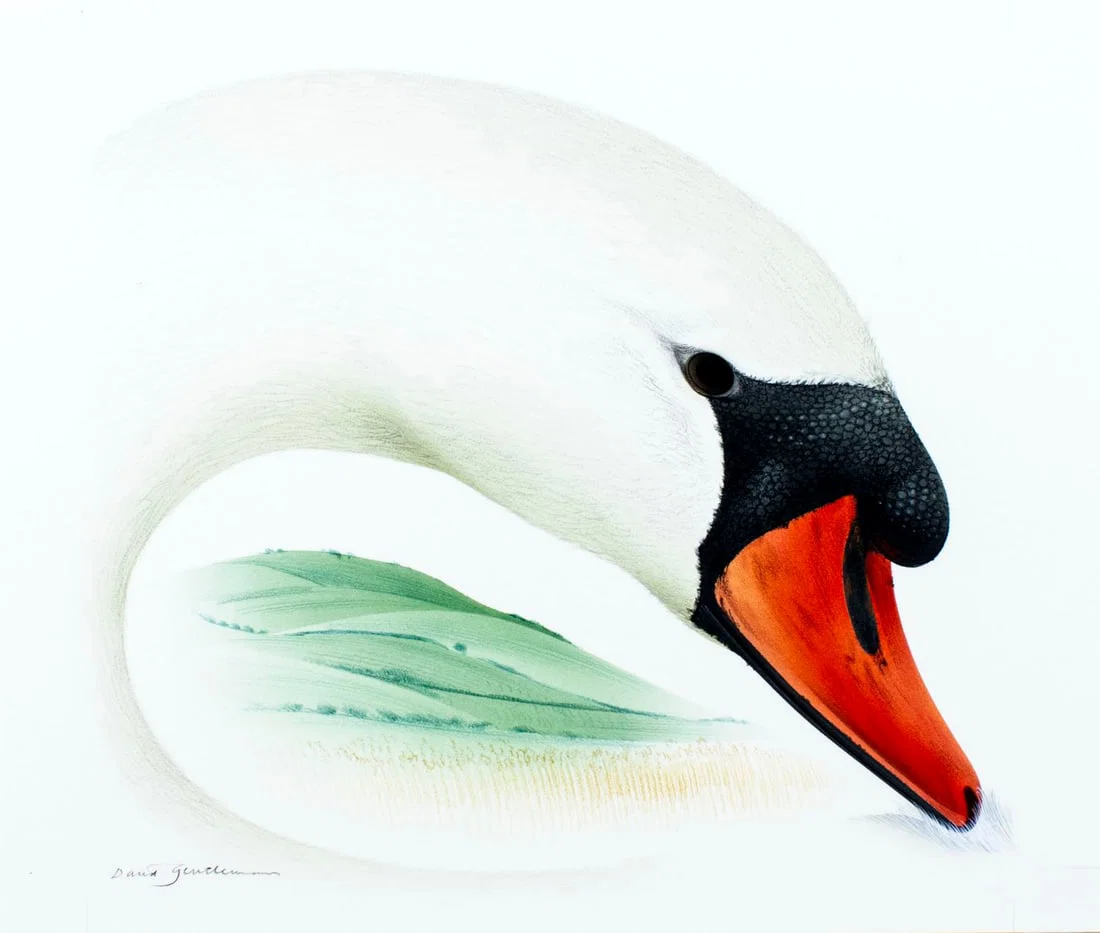 David Gentleman (UK,1930-?) gouache painting