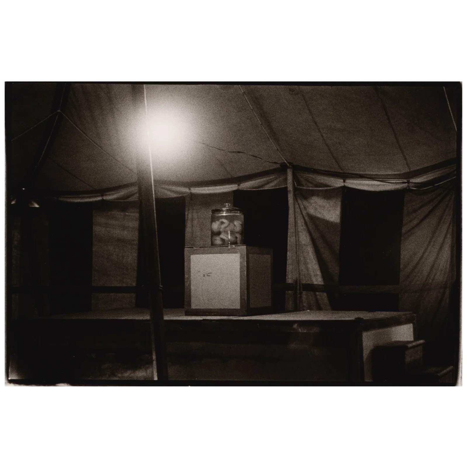 Diane Arbus (1923-1971); Siamese Twins in a carnival tent, N.J.;