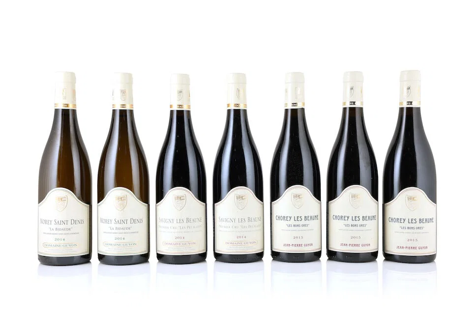 Domaine Guyon, Morey-Saint-Denis La Bidaude, 2014 (2 x 750ml) Domaine Guyon, Savigny-lès-B...