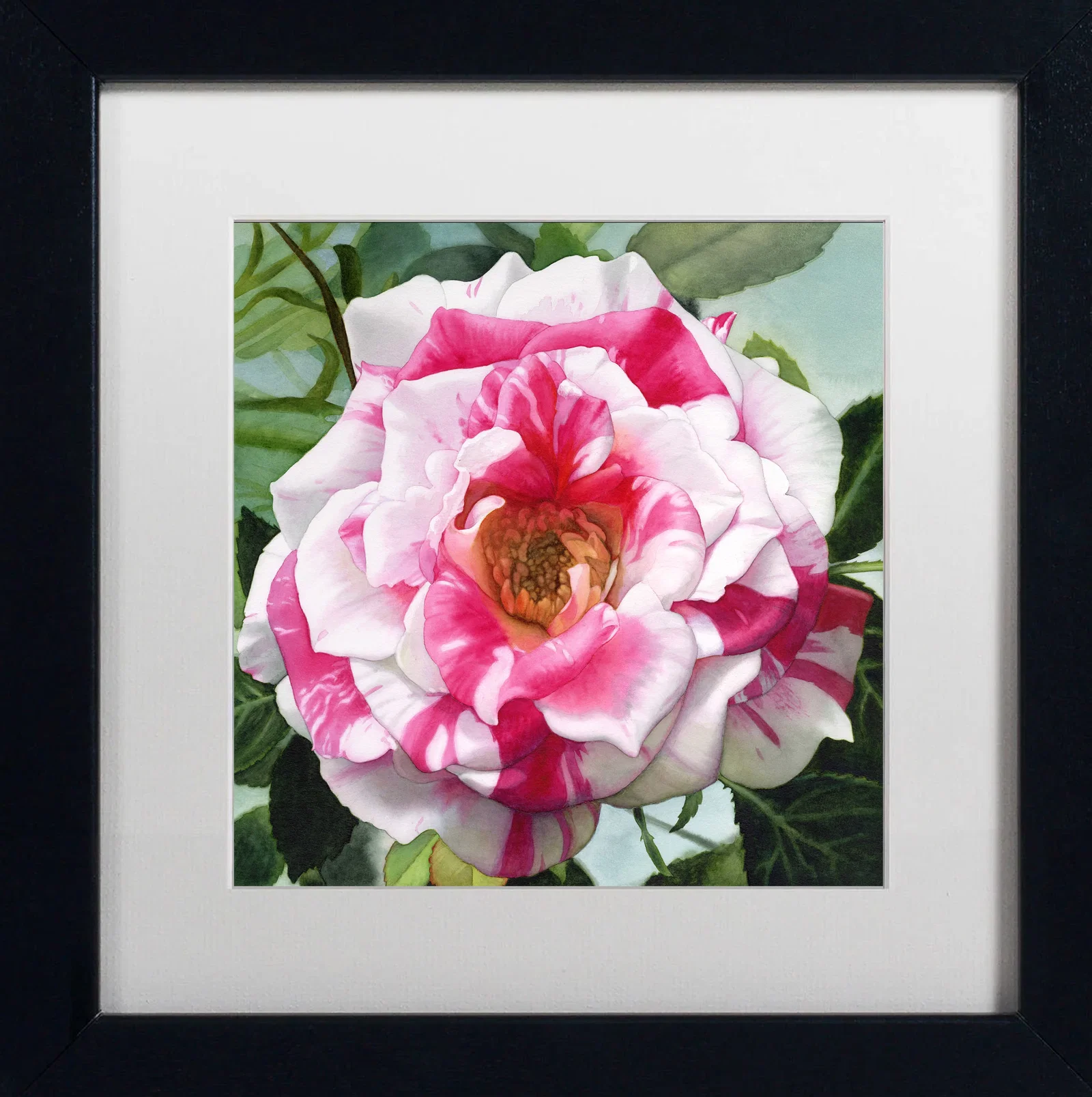 Donna Lesley (American 1940-2010) #63 Candy Cane Rose. Limited Edition ink on paper hand signed by