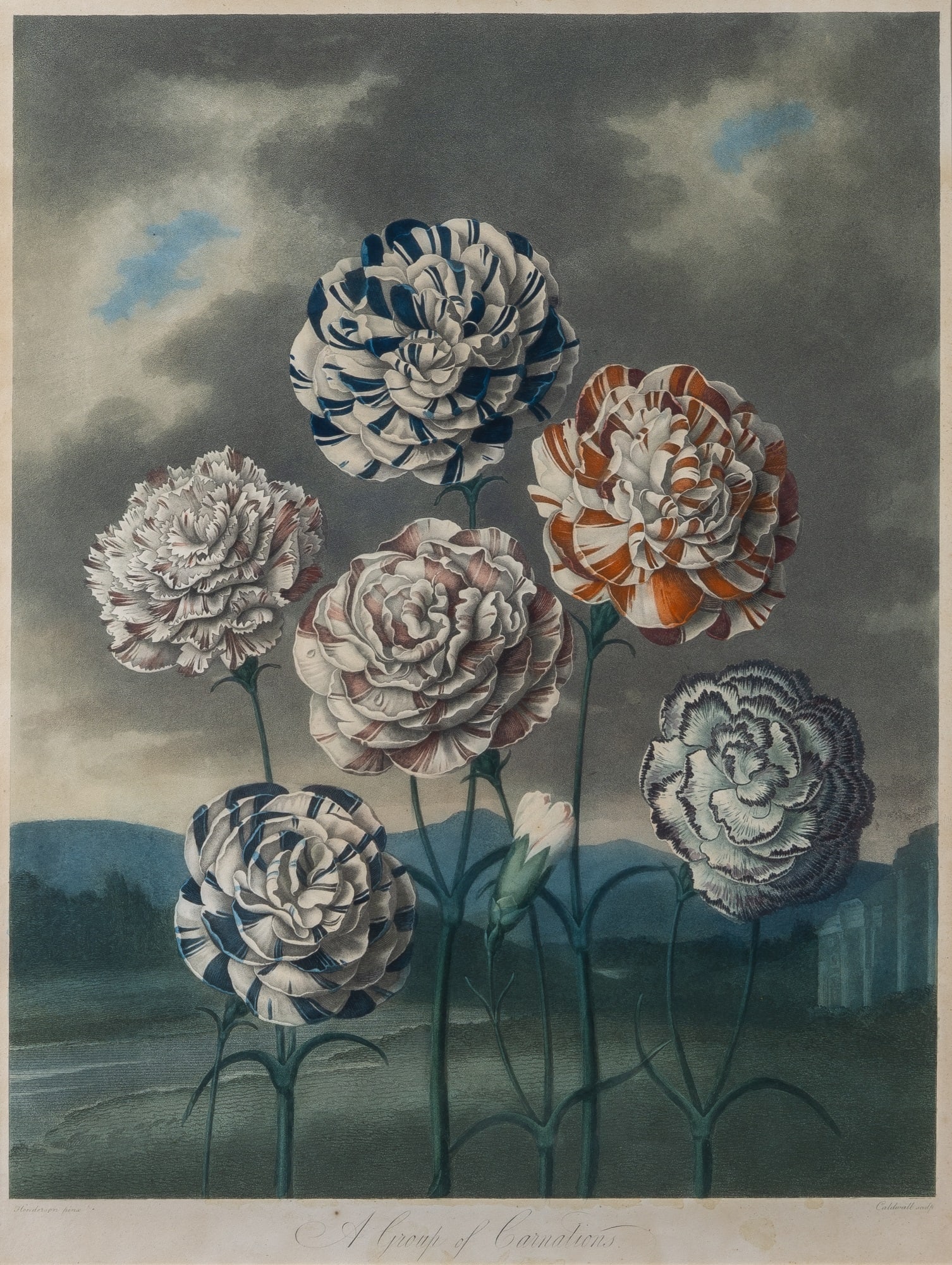 Dr. Robert Thornton (1768-1837), publisher