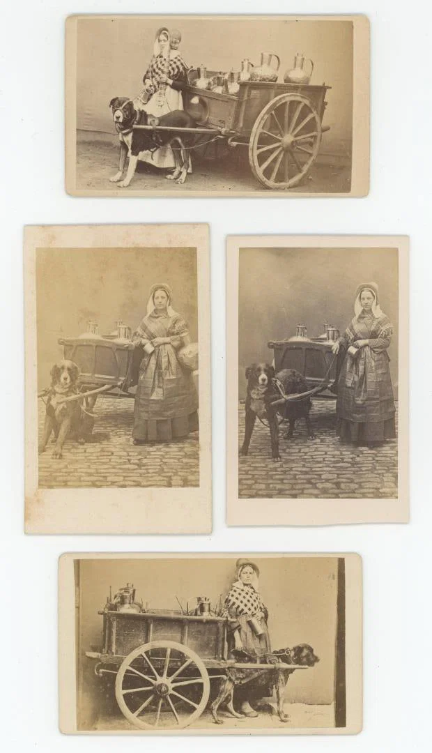 Dutch Milk Milkmaid Delivery Dog Cart CDV Photos