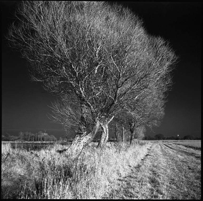 Edition 2/10 - West Thorpe IV, Suffolk [IR Film] - Silver Gelatin