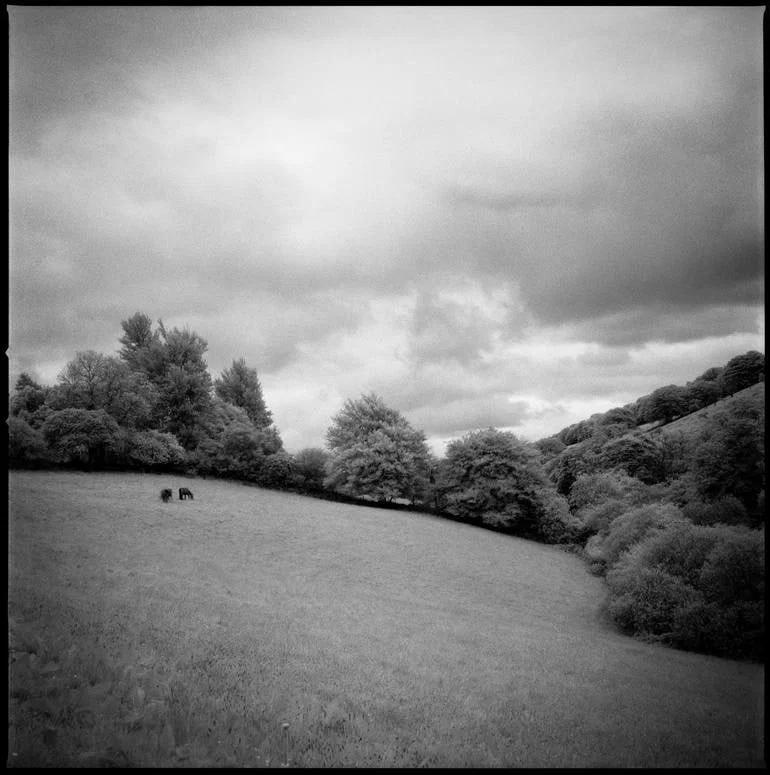 Edition 2/10 - Woodland, Tarr Steps, Exmoor [Infrared Film]