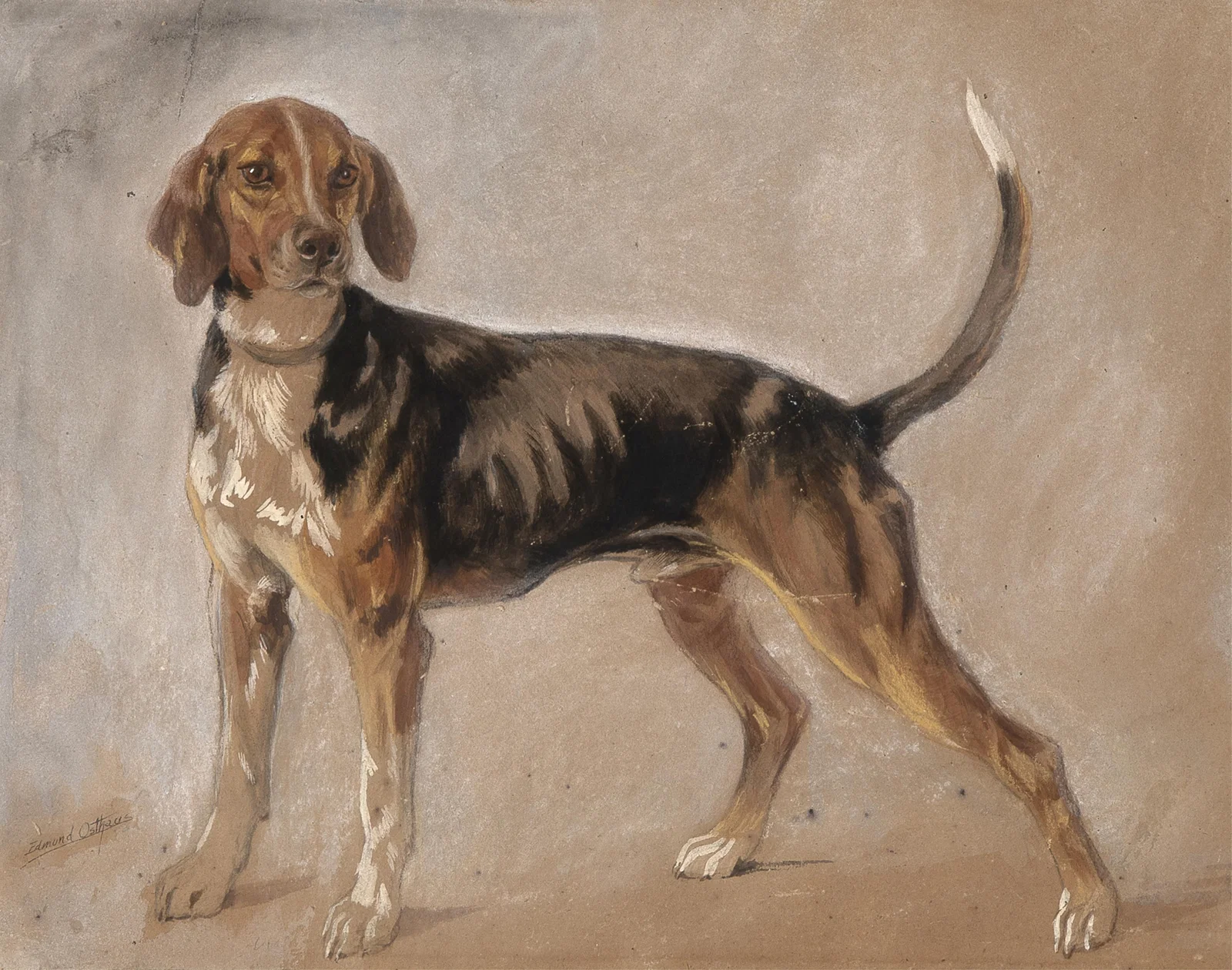 Edmund Henry Osthaus, Untitled (Hunting Dog)