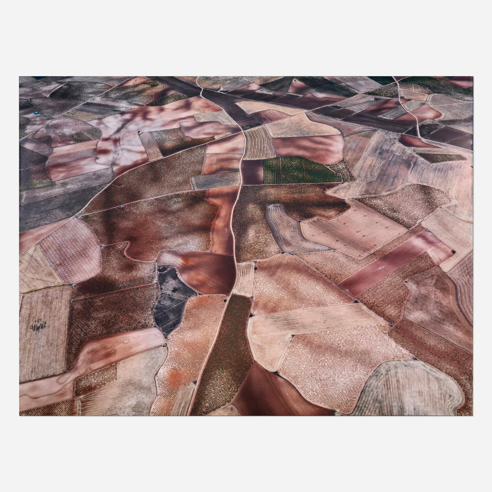 Edward Burtynsky, Dryland Farming #31, Monegros County, Aragon, Spain