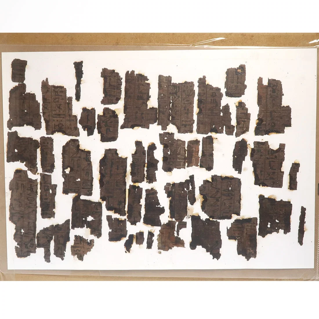 Egyptian Fragments of Papyrus with Hieroglyphs, c. early 14th - mid 13th Century B.C