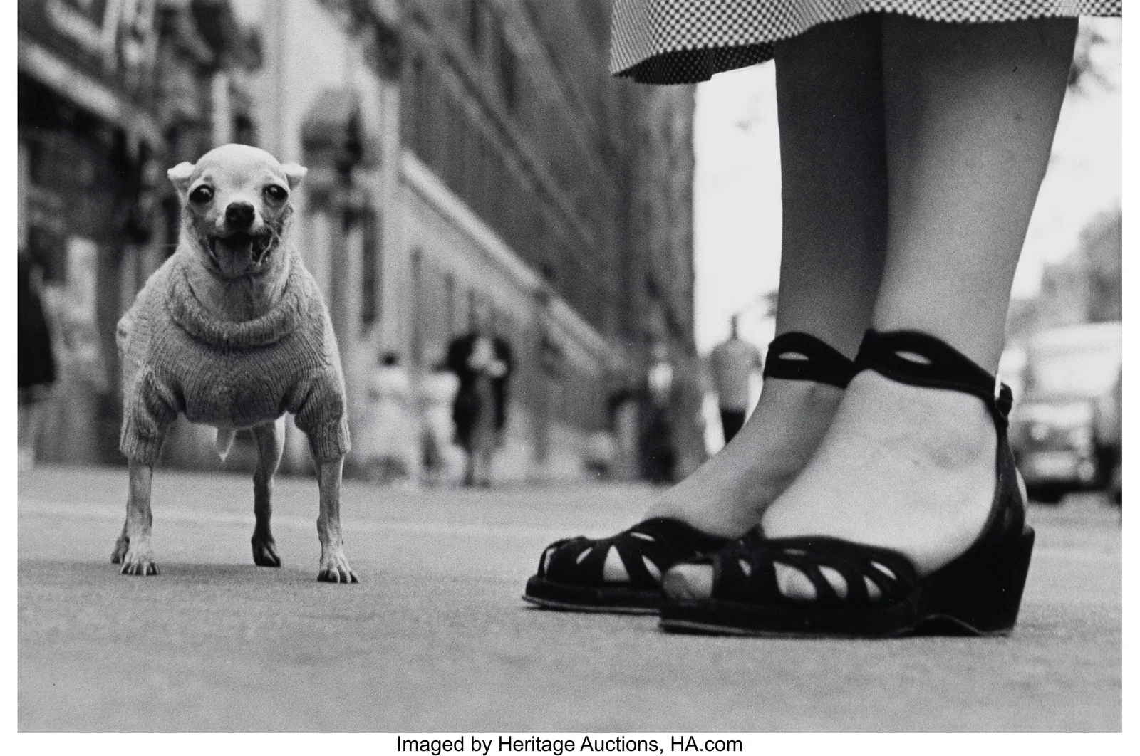 Elliott Erwitt (American, 1928-2023) New York (D