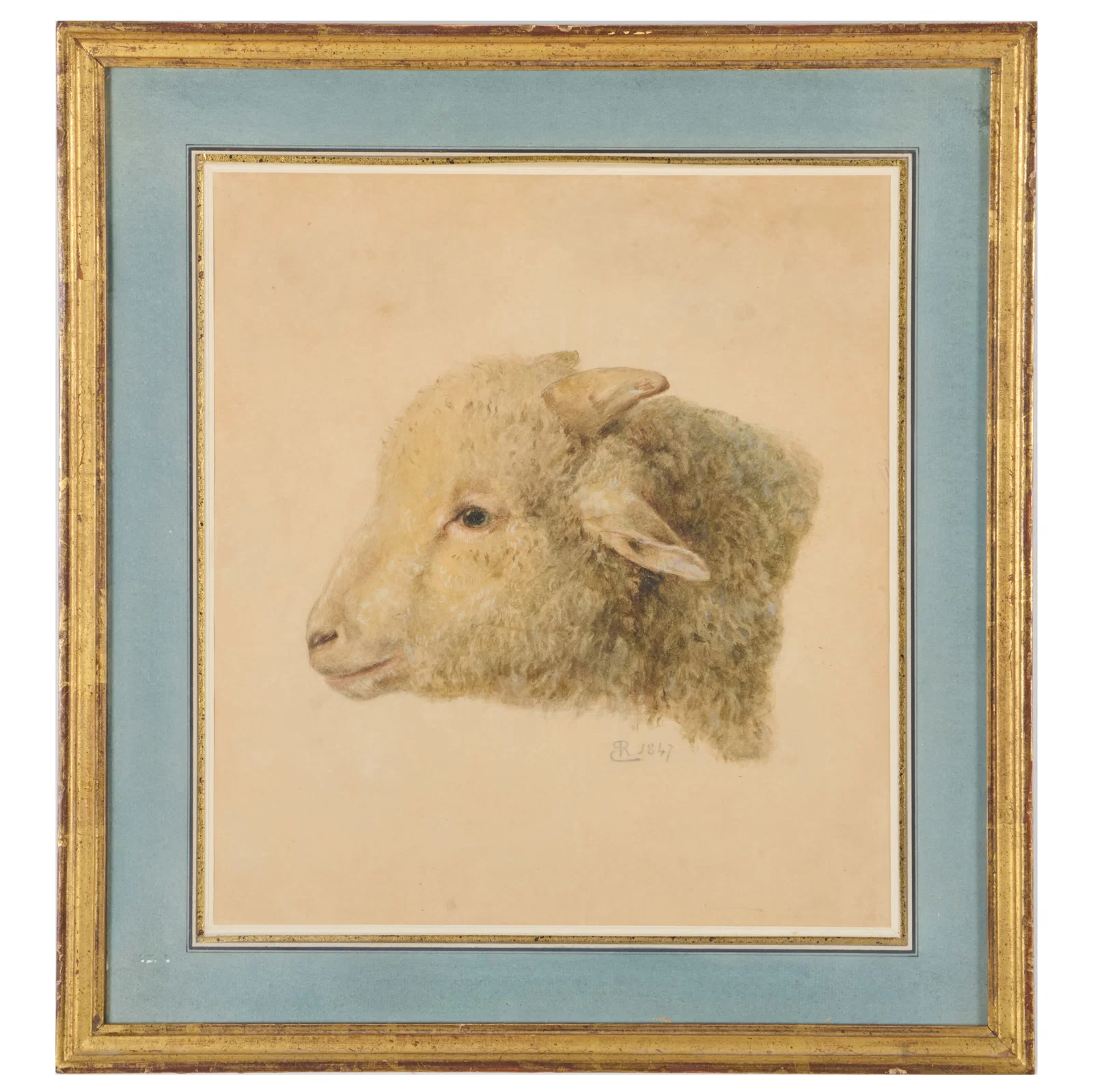 European School: Study of a Ram