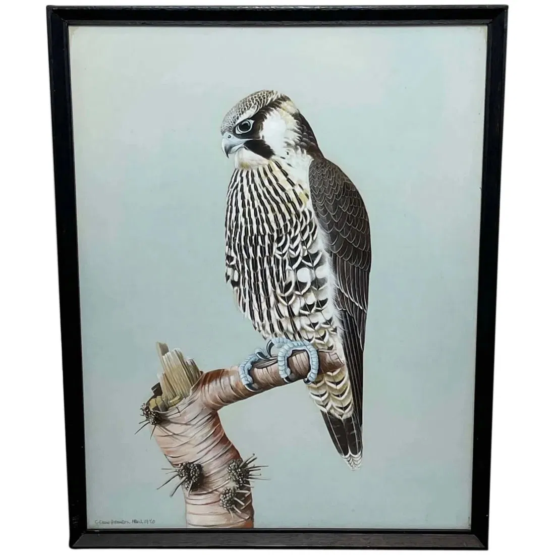 FINE BRITISH ART GOUACHE WATERCOLOUR PEREGRINE FALCON OIL PAINTING