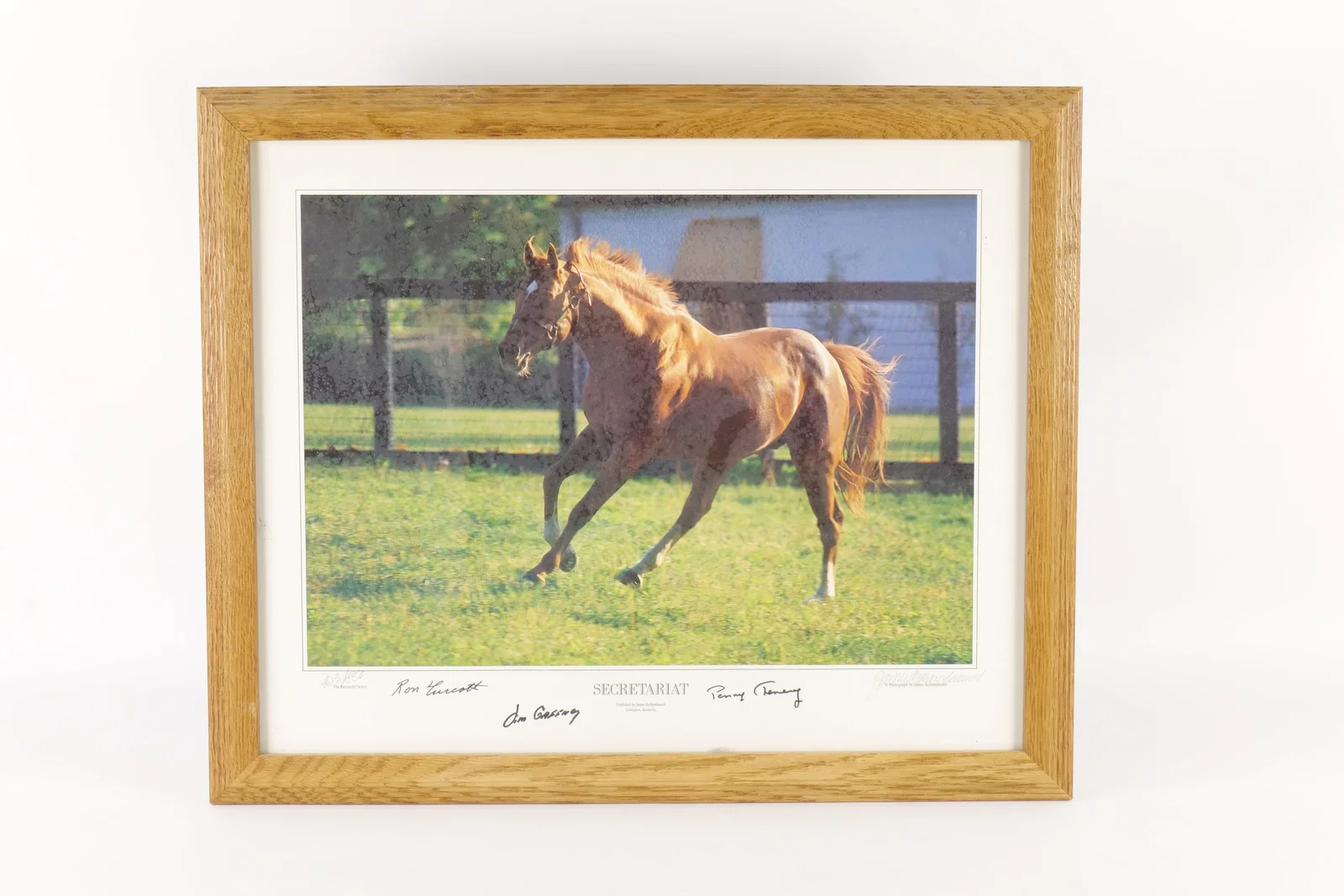 Framed Print of Secretariat - Signed