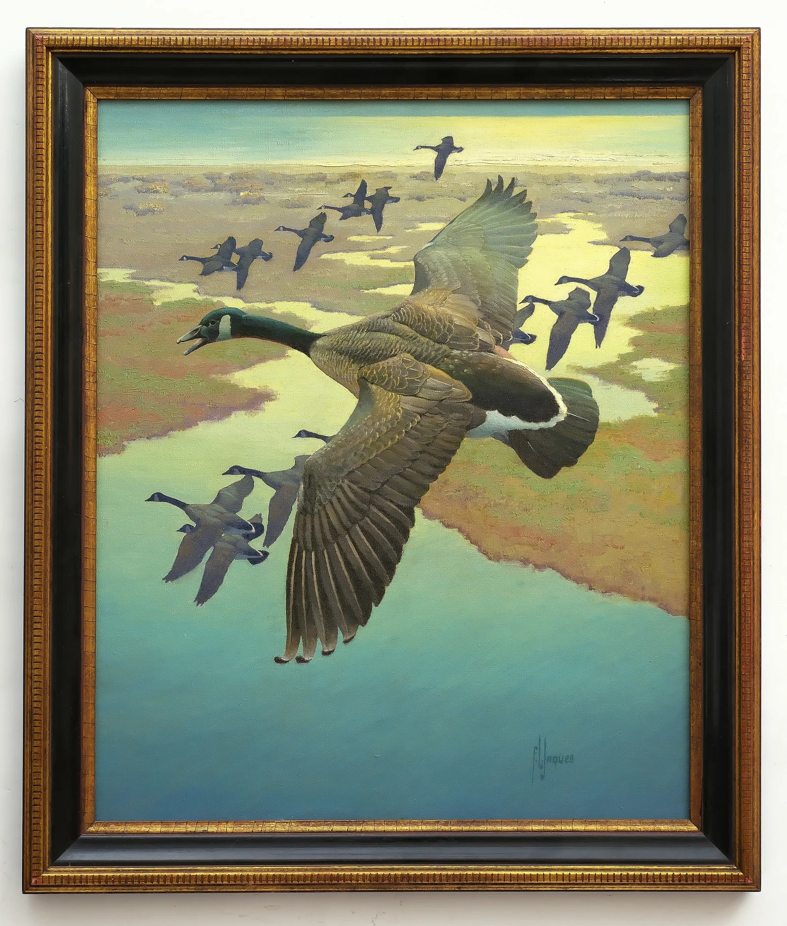 Frances Lee Jaques (1887-1969), oil on canvas board.