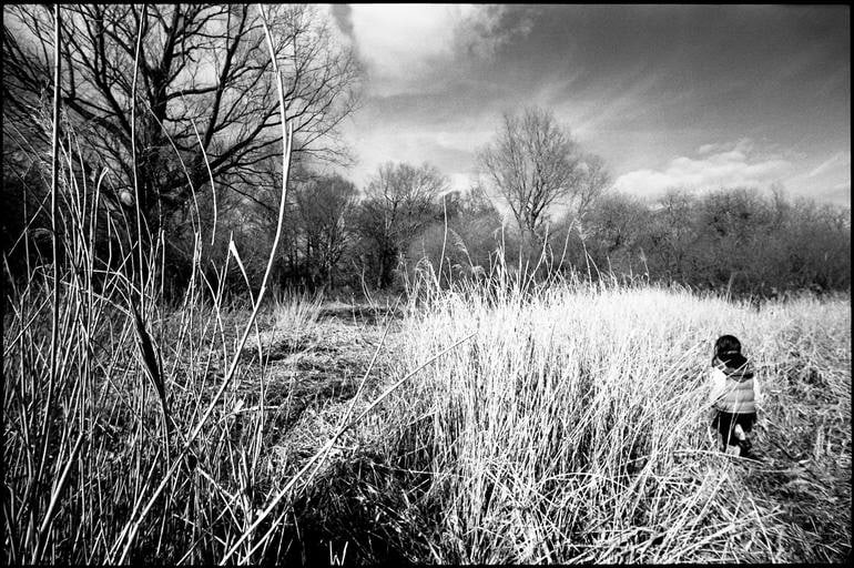 Girl in Grass Clearing, Thorndon, Suffolk - Silver Gelatin