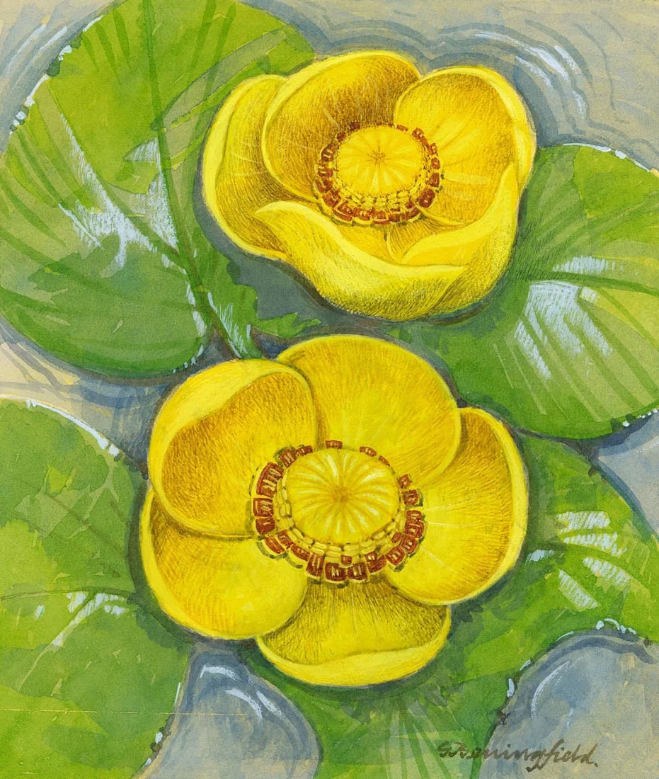 Gordon Beningfield (UK,1936-1998) gouache painting