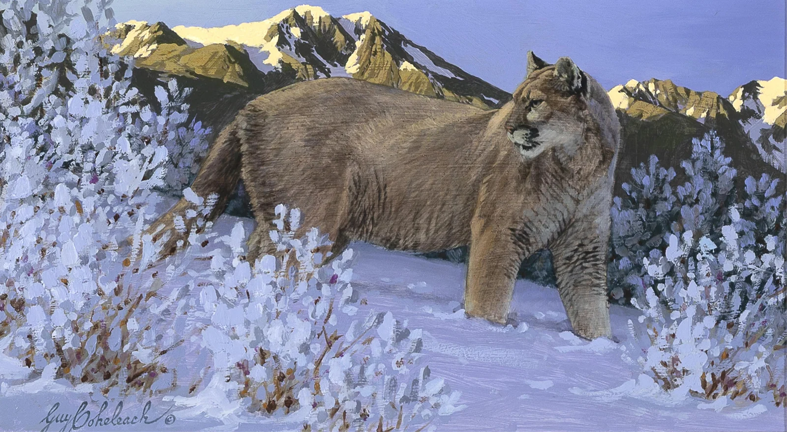 Guy Joseph Coheleach, Untitled (Mountain Lion in Snow), 1988
