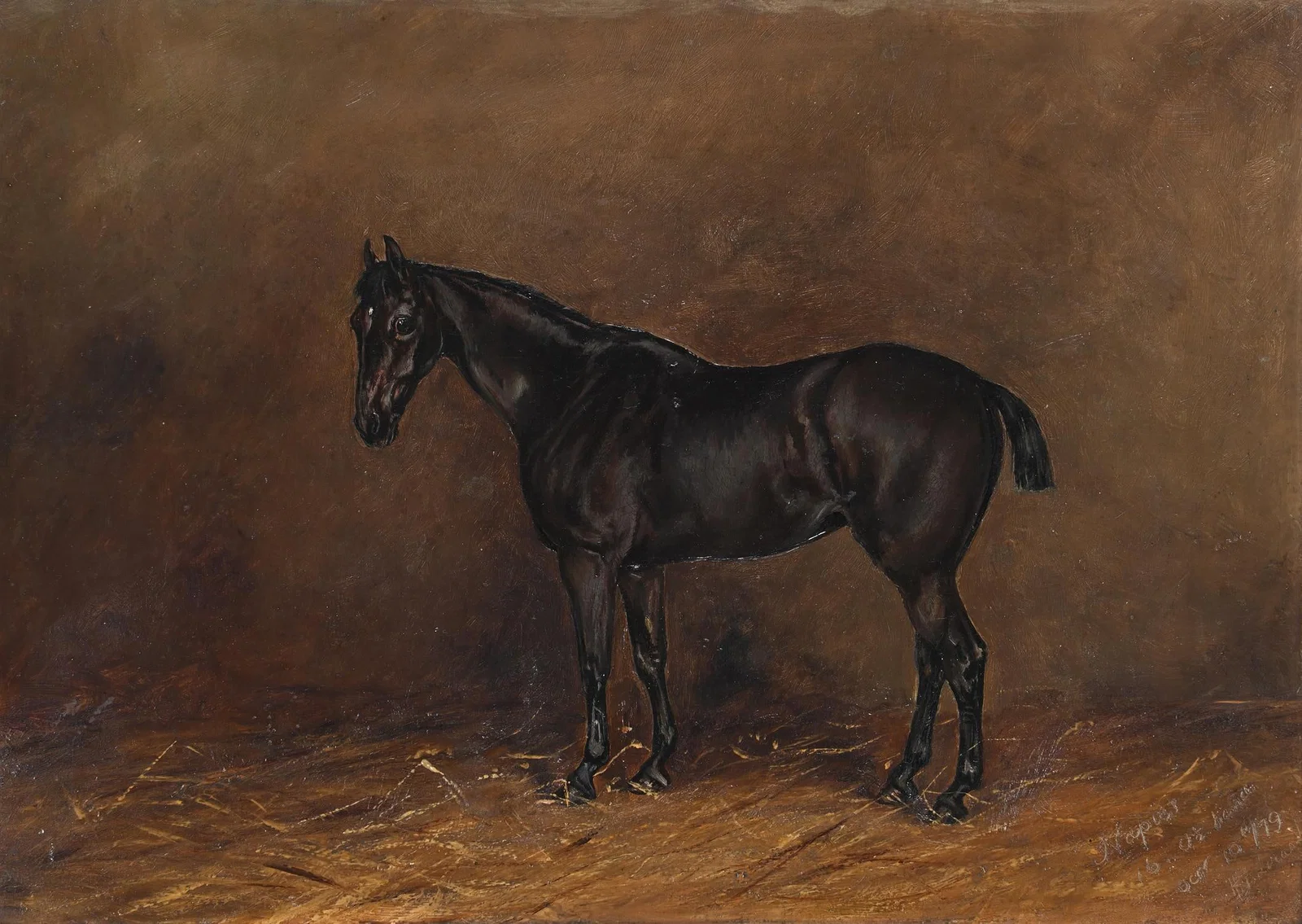 HENRY FREDERICK LUCAS-LUCAS (BRITISH 1848-1943), NAPIER