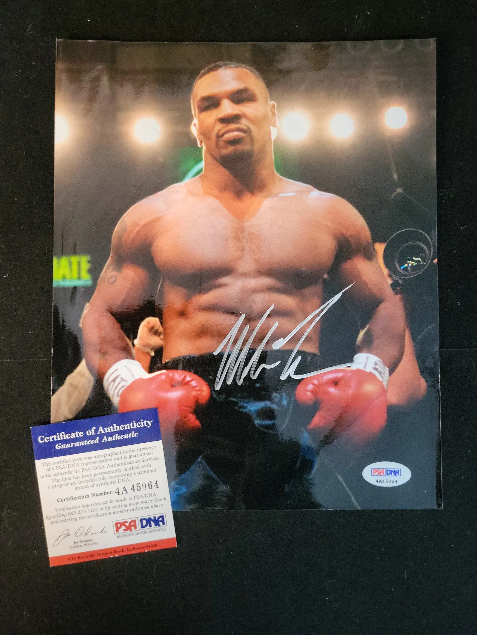 I00953 | Mike Tyson Autographed Photograph, PSA/DNA Authenticated