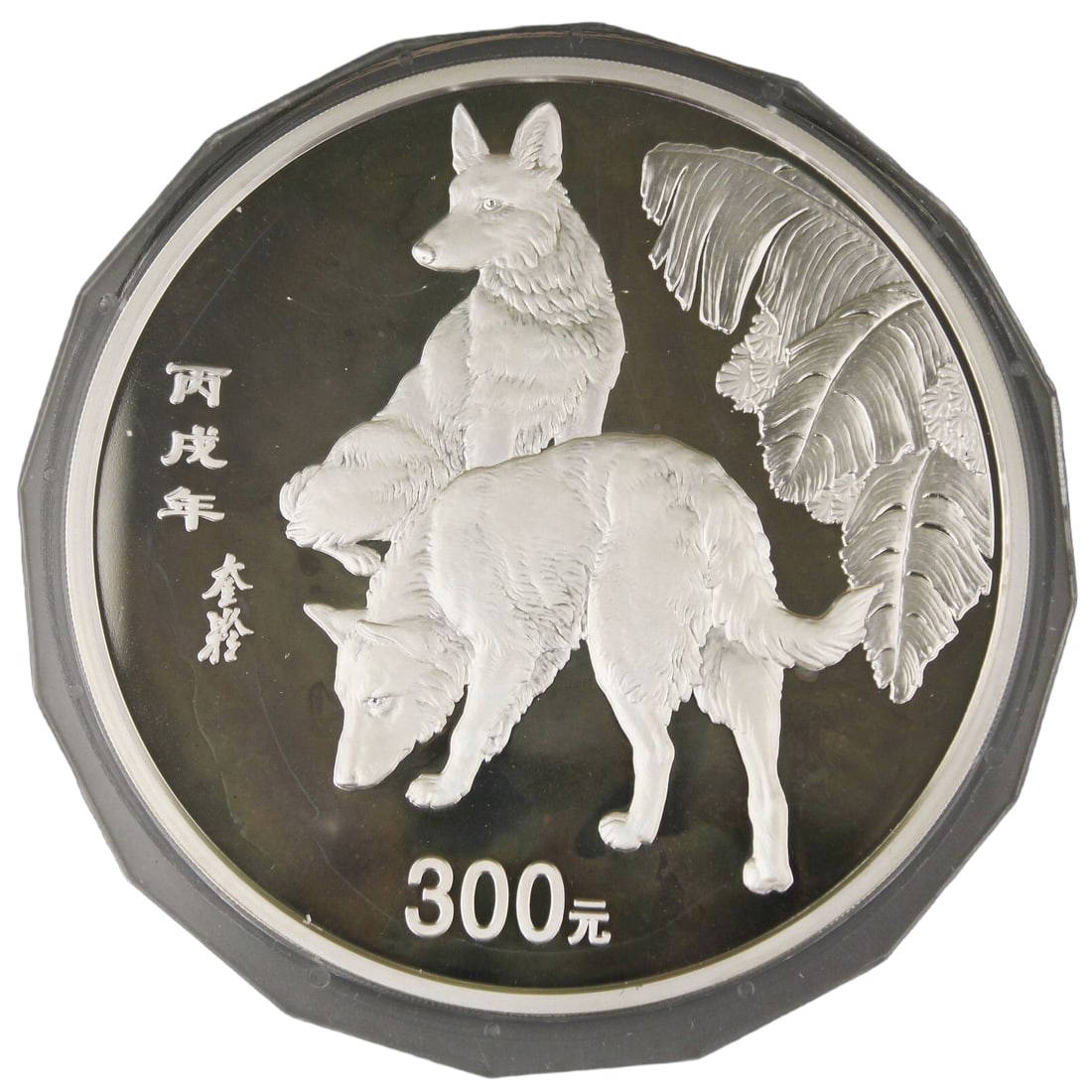 In 2006, a 1 kilogram silver coin of 300 yuan in the Year of the Dog in China, in extremely fine