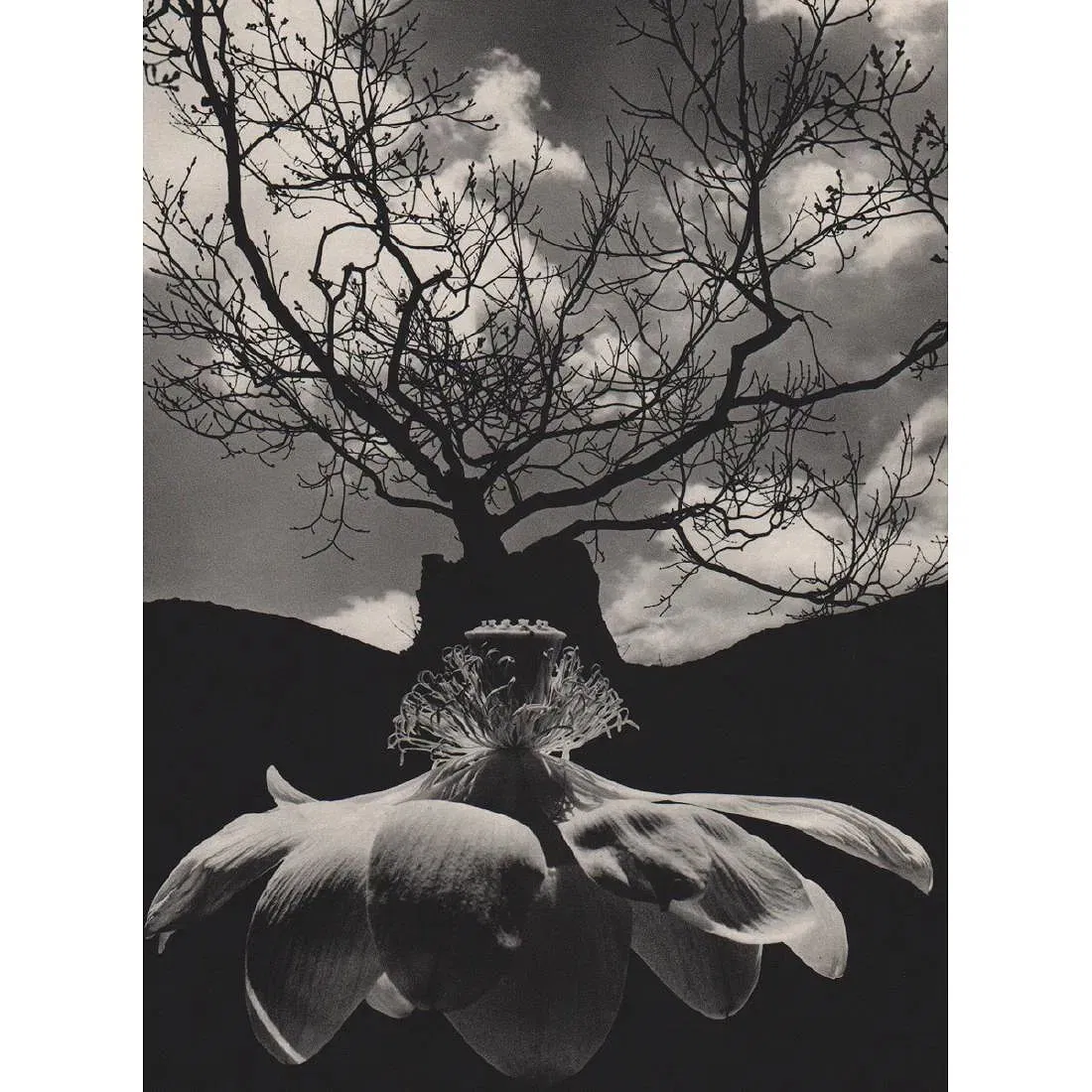 Jerry Uelsmann (American , 1934-2022) Print