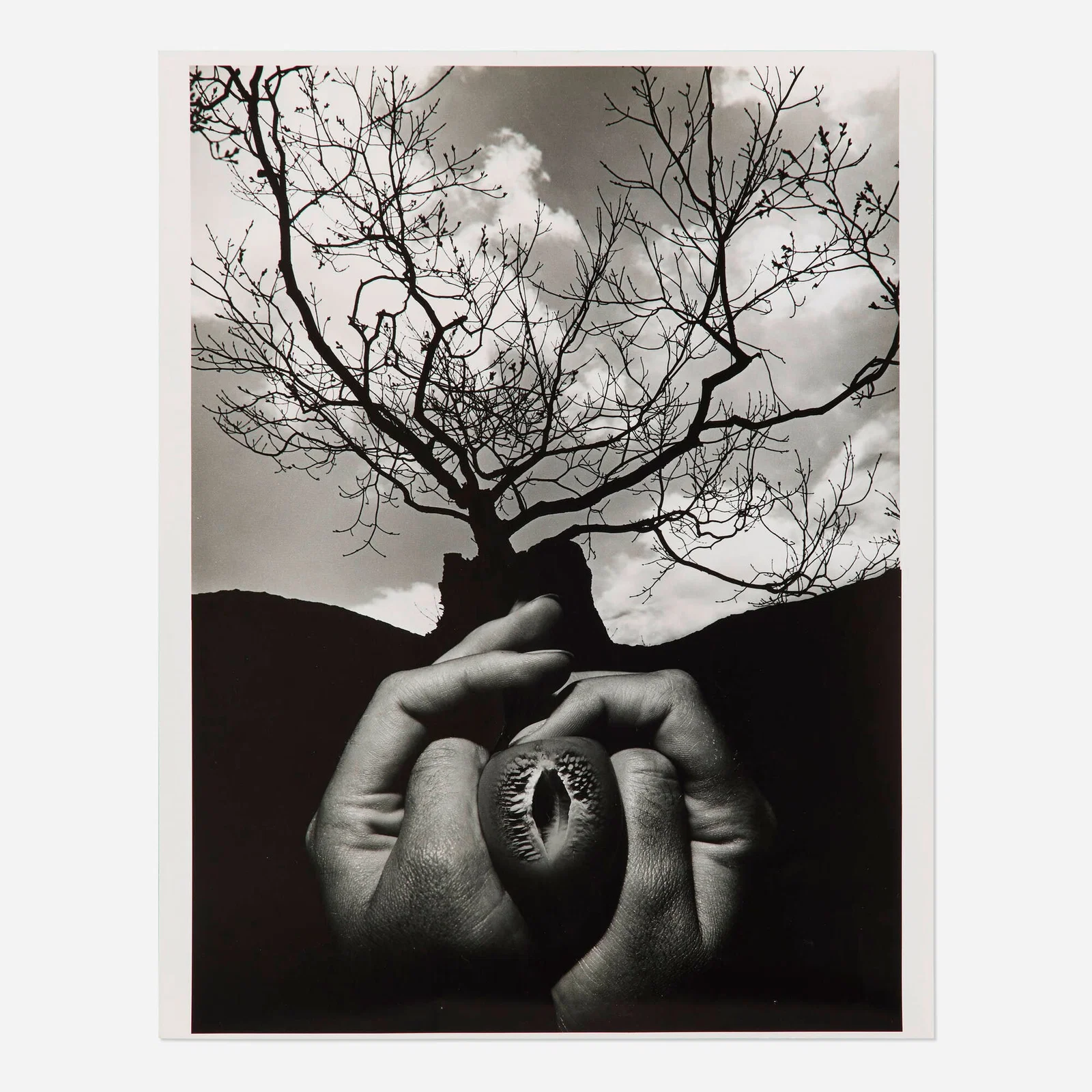 Jerry Uelsmann, Untitled