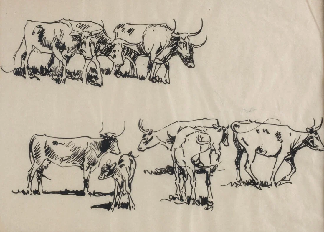 John Edward Borein American 1872-1945 Ink Drawing Long horn cattle w/ COA
