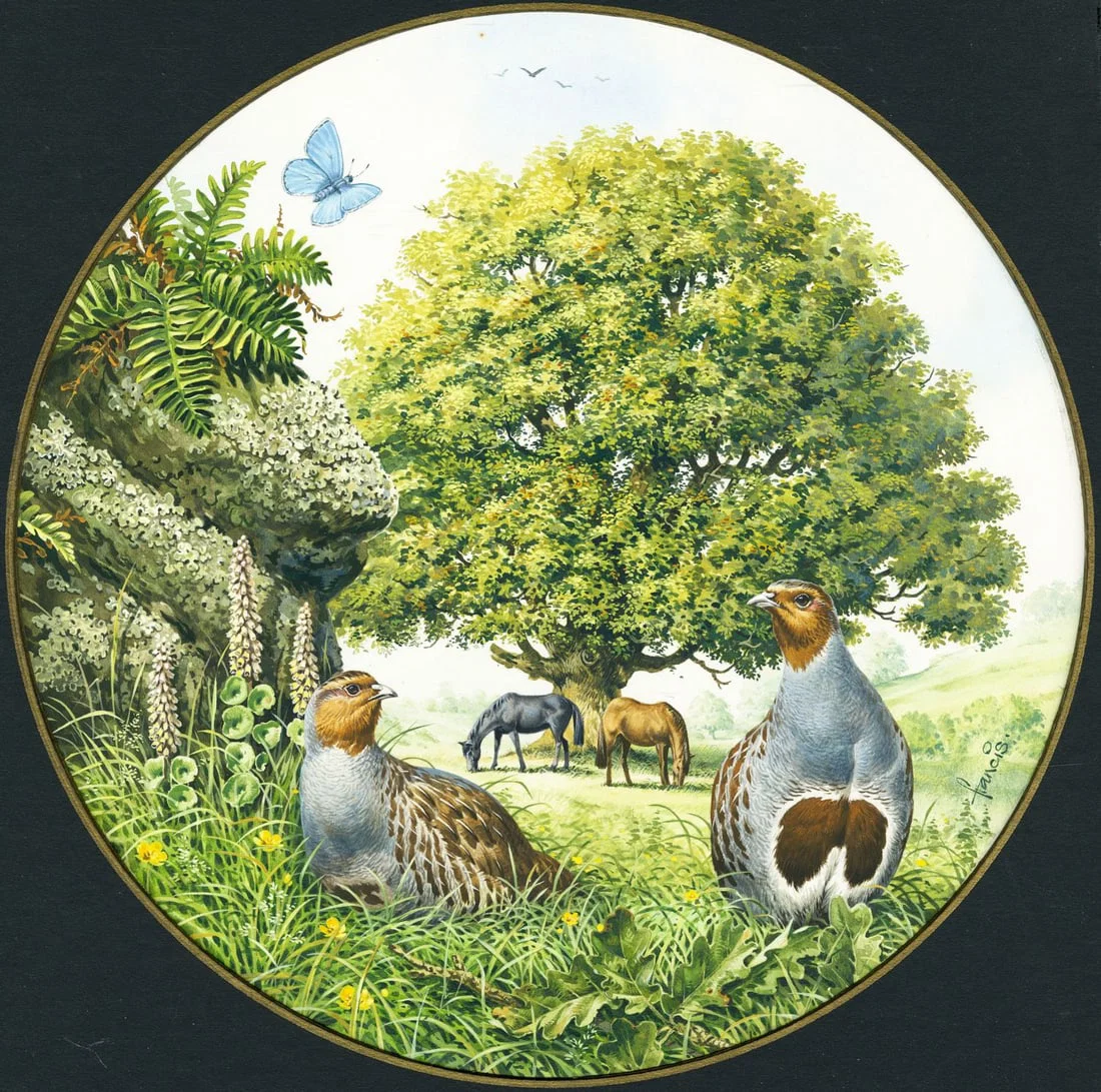 John Francis (UK,20C) gouache painting