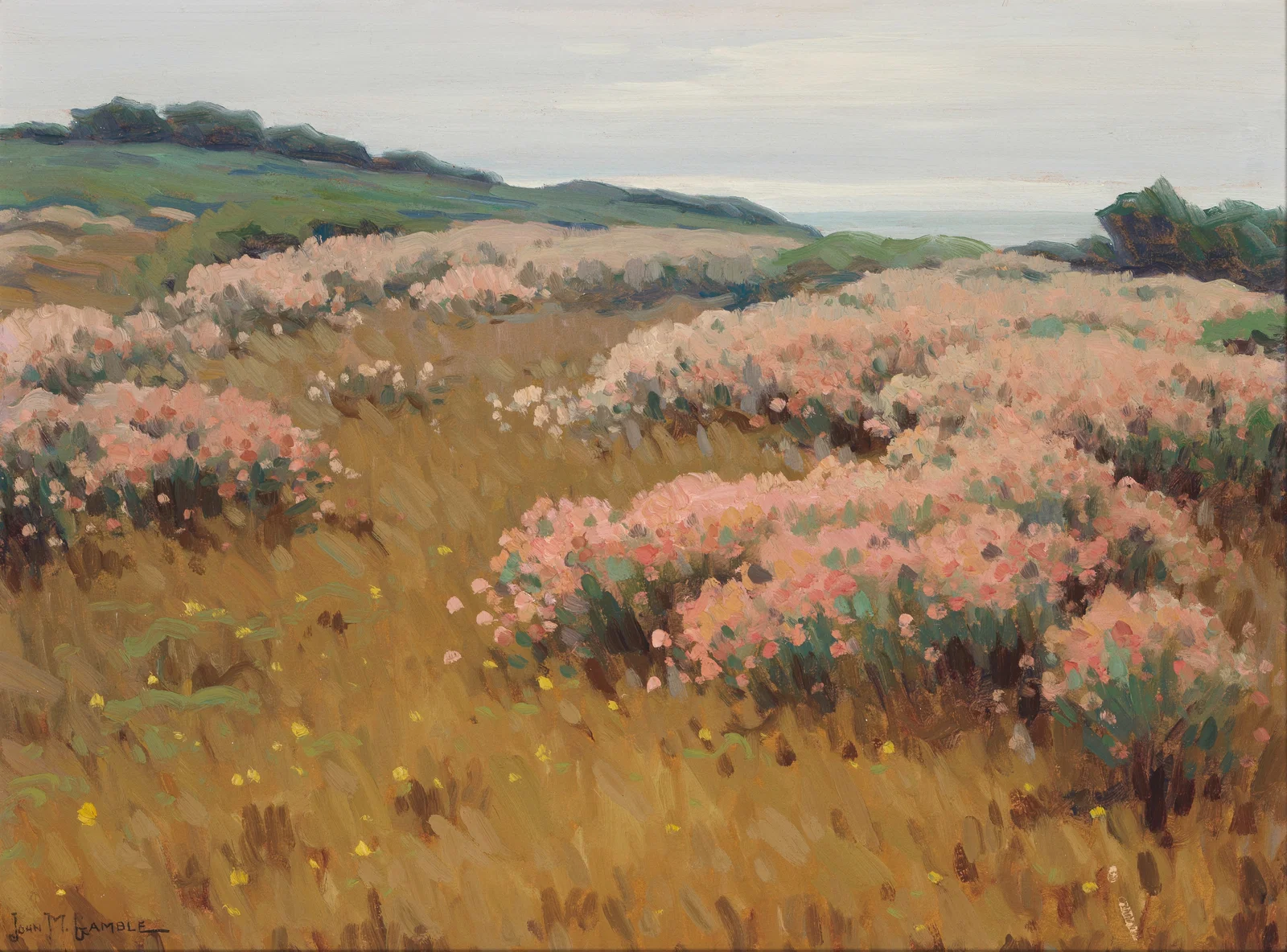 JOHN MARSHALL GAMBLE (1863-1957) Wild Buckwheat (Near Monterey) 18 x 24 in.