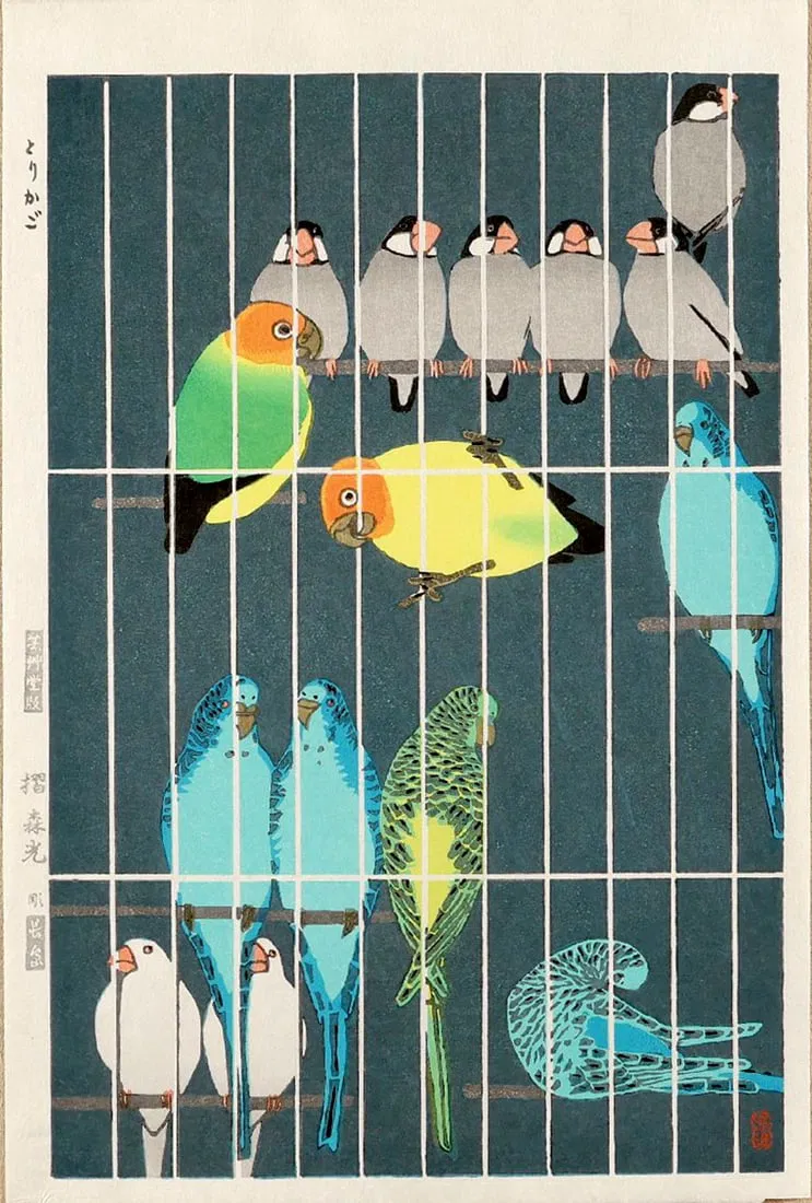Kasamatsu, Shirô: Bird Cage
