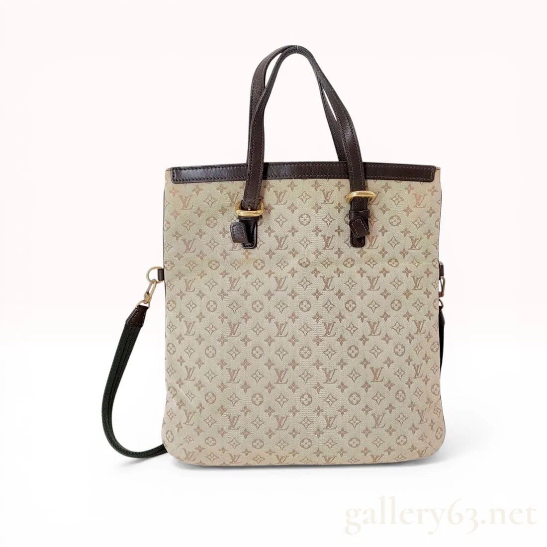 Louis Vuitton Monogram Mini Lin Francoise Tote Bag