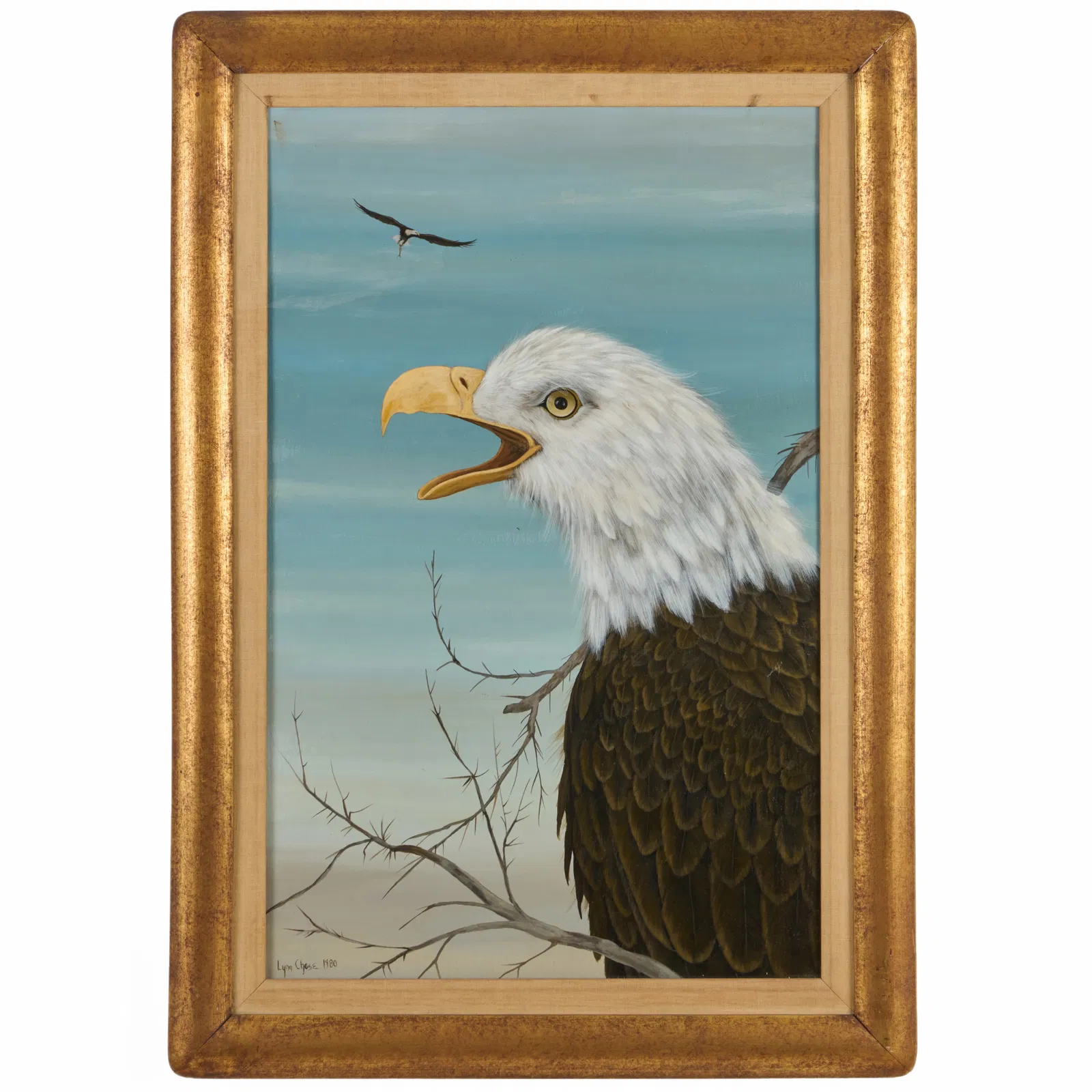 Lynn Chase (1948-2025): Bald Eagle