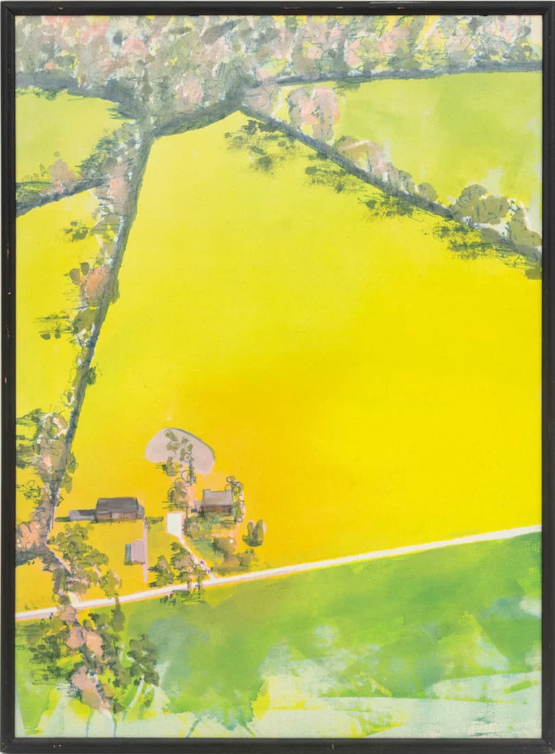 Mary Betts Anderson Aerial Landscape Acrylic