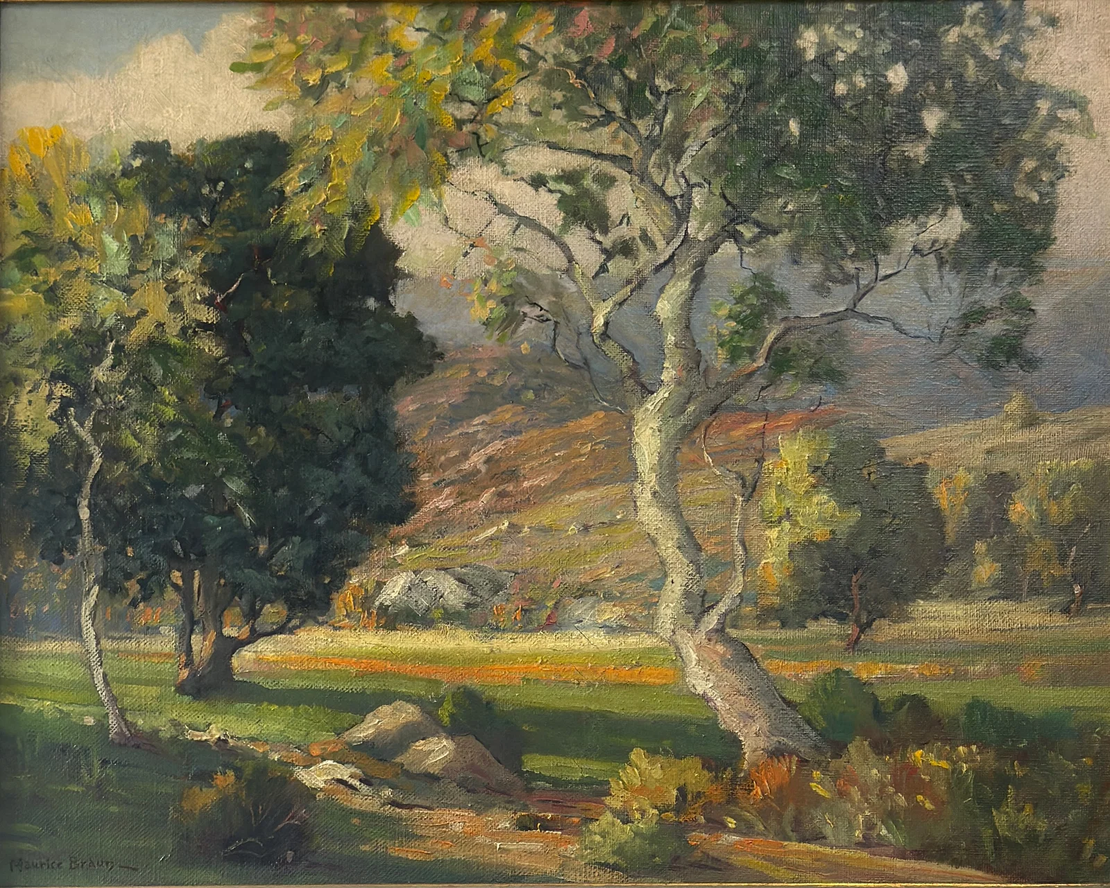 Maurice Braun (1877-1941), Tree in a California landscape