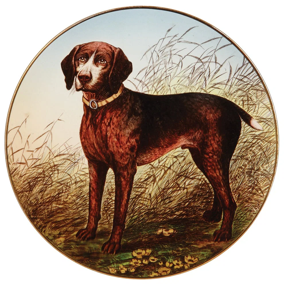 Mettlach plaque, 13.8" d., 1044/9029, German Shorthaired Pointer