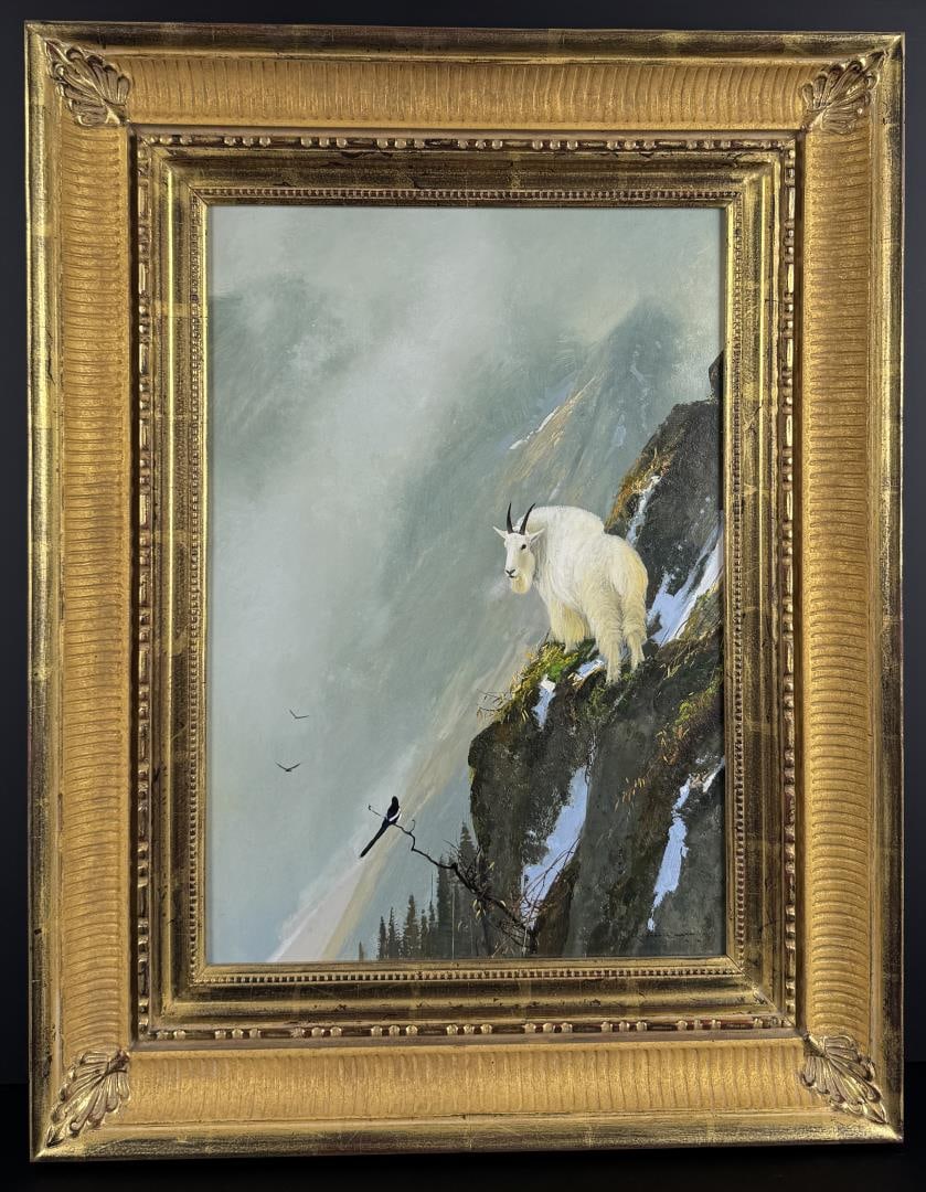 Michael Coleman The Visitor Mountain Goat Painting