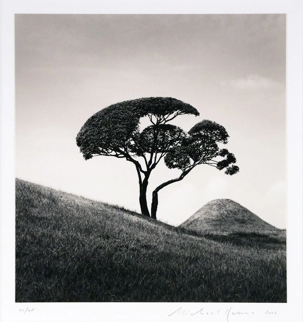 MICHAEL KENNA Tree & Mountain Photograph
