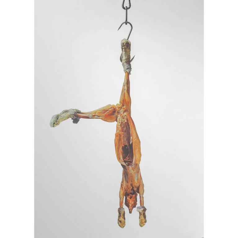 MICHELANGELO PISTOLETTO (1933-) Coniglio