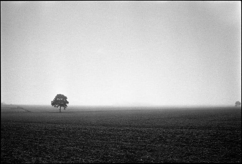 Mickfield Ii, Eye, Suffolk - Silver Gelatin Photograph