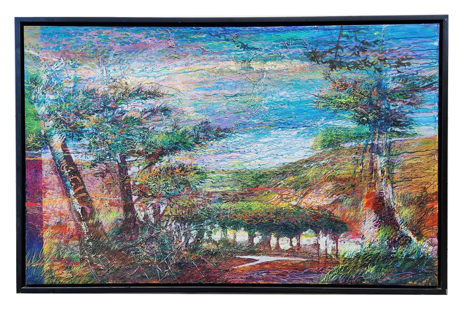 Miguel Conesa Osuna (Born 1952) Puerto Rico
