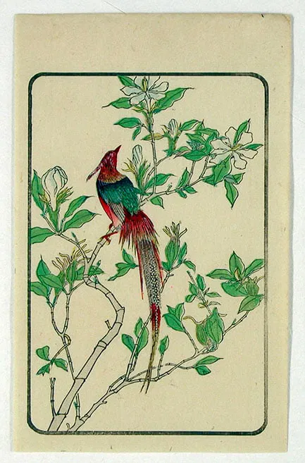 misc.: Birds and Flowers prints