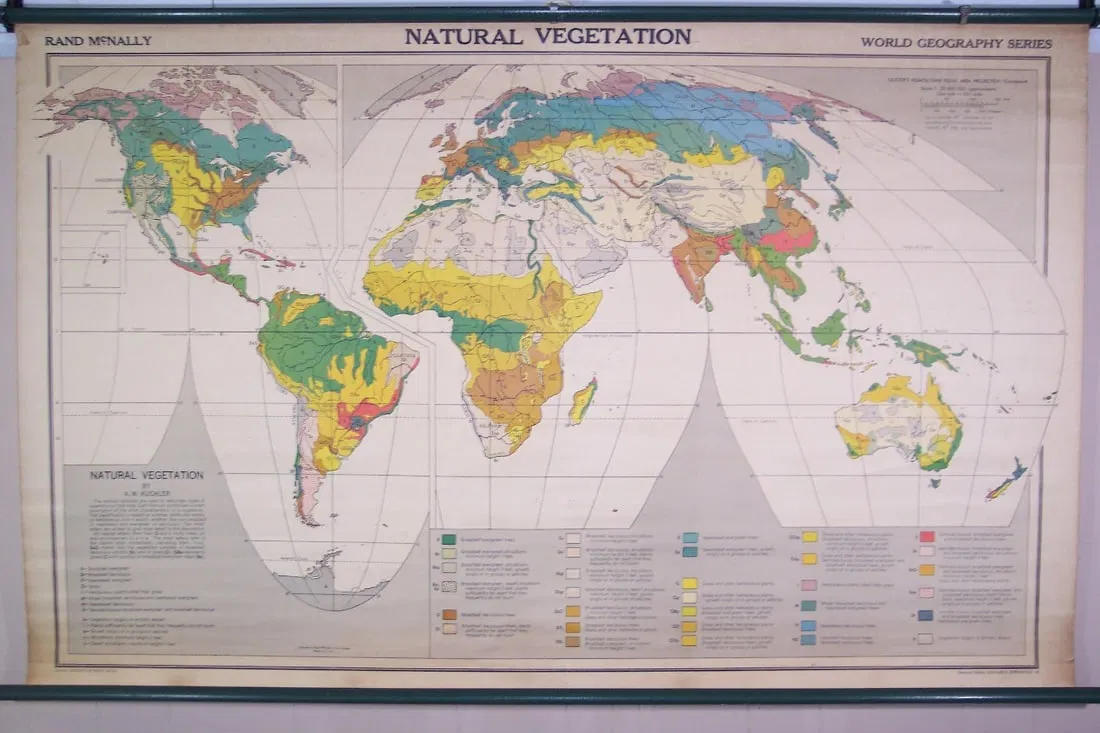 Natural Vegetation (World)