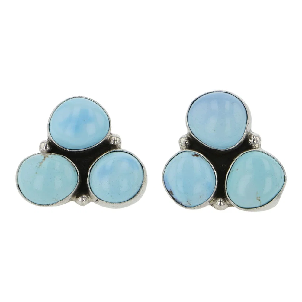 Navajo Golden Hills Turquoise Earrings