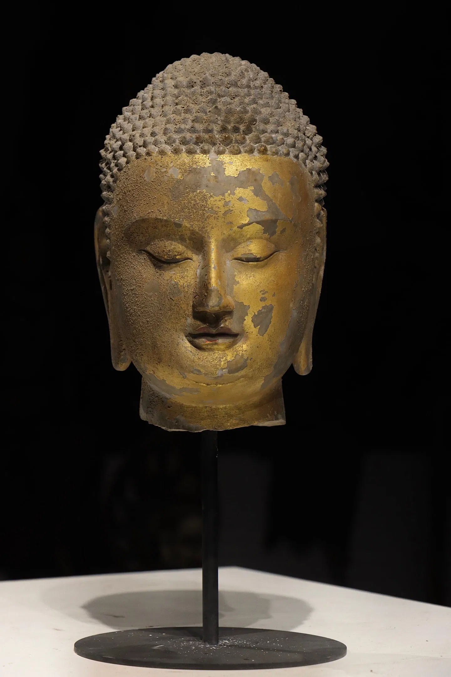 NORTHERN QI DYNASTY QINGZHOU GILDED BUDDHA HEAD