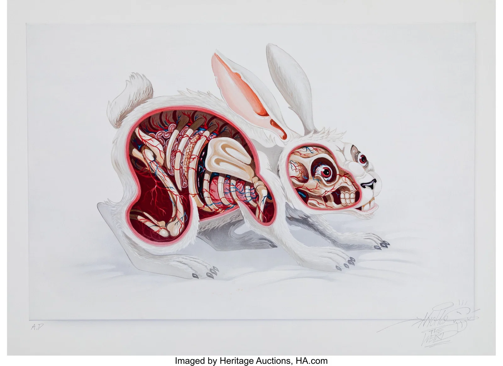 Nychos (b. 1982) Lepus Pellis Os Omentum, 2013 A