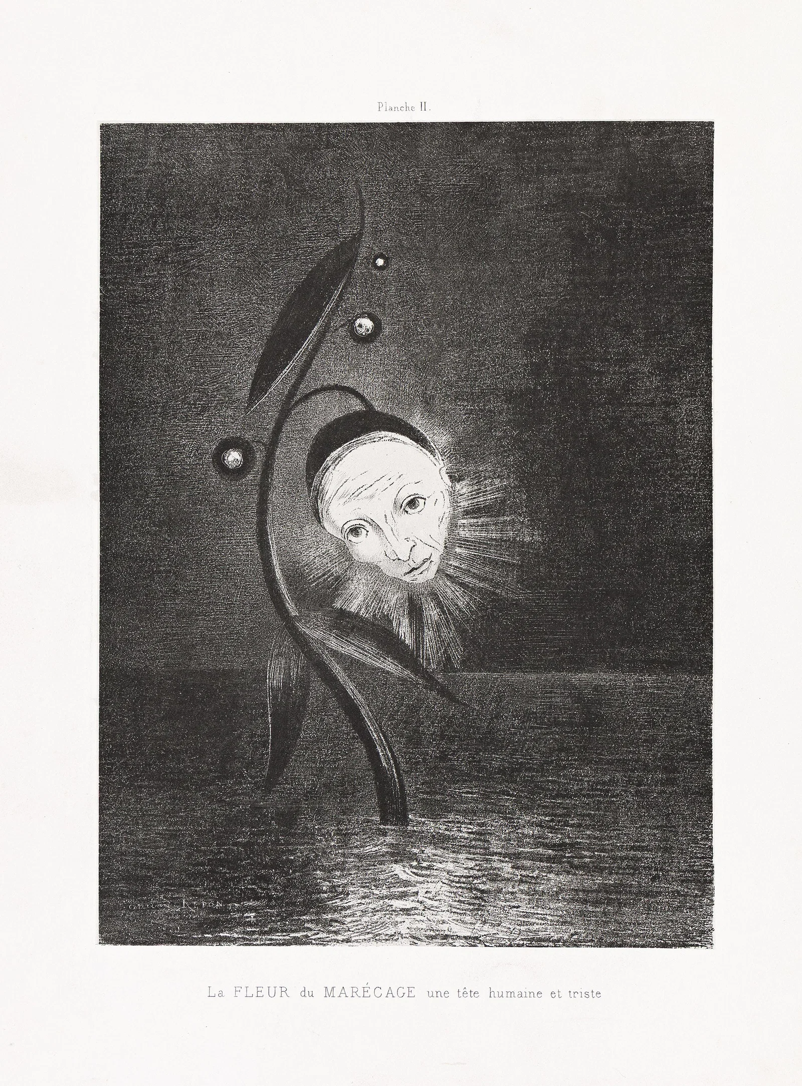 Odilon Redon (1840-1916), Hommage à Goya, 1885.