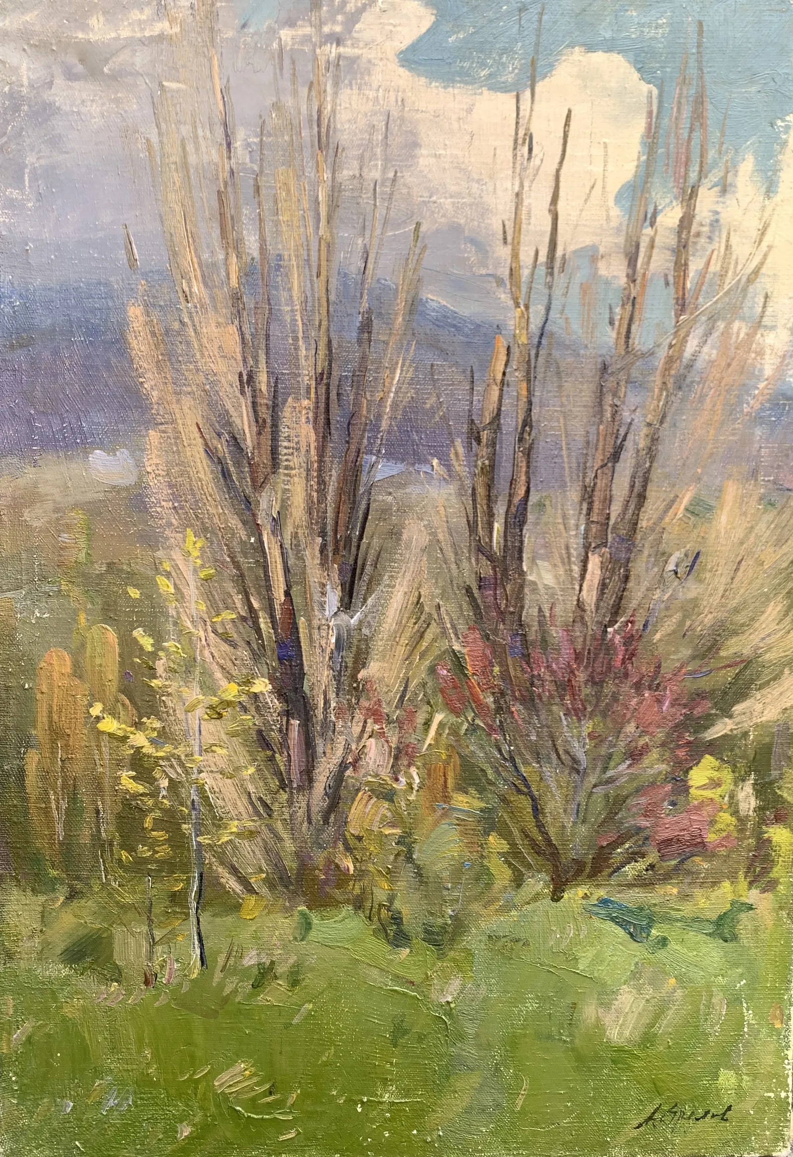 Oil painting Old poplar trees Strelov A.